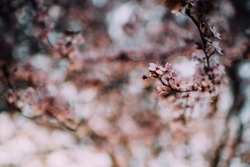 Should i invest in my 20s